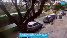 Dramático incidente vial entre un colectivo y una ciclista en La Plata
