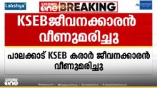 പാലക്കാട്ട് KSEB കരാർ ജീവനക്കാരൻ ജോലിക്കിടെ വീണുമരിച്ചു; ‌‌ഷോക്കേറ്റ് വീണതെന്ന് സംശയം