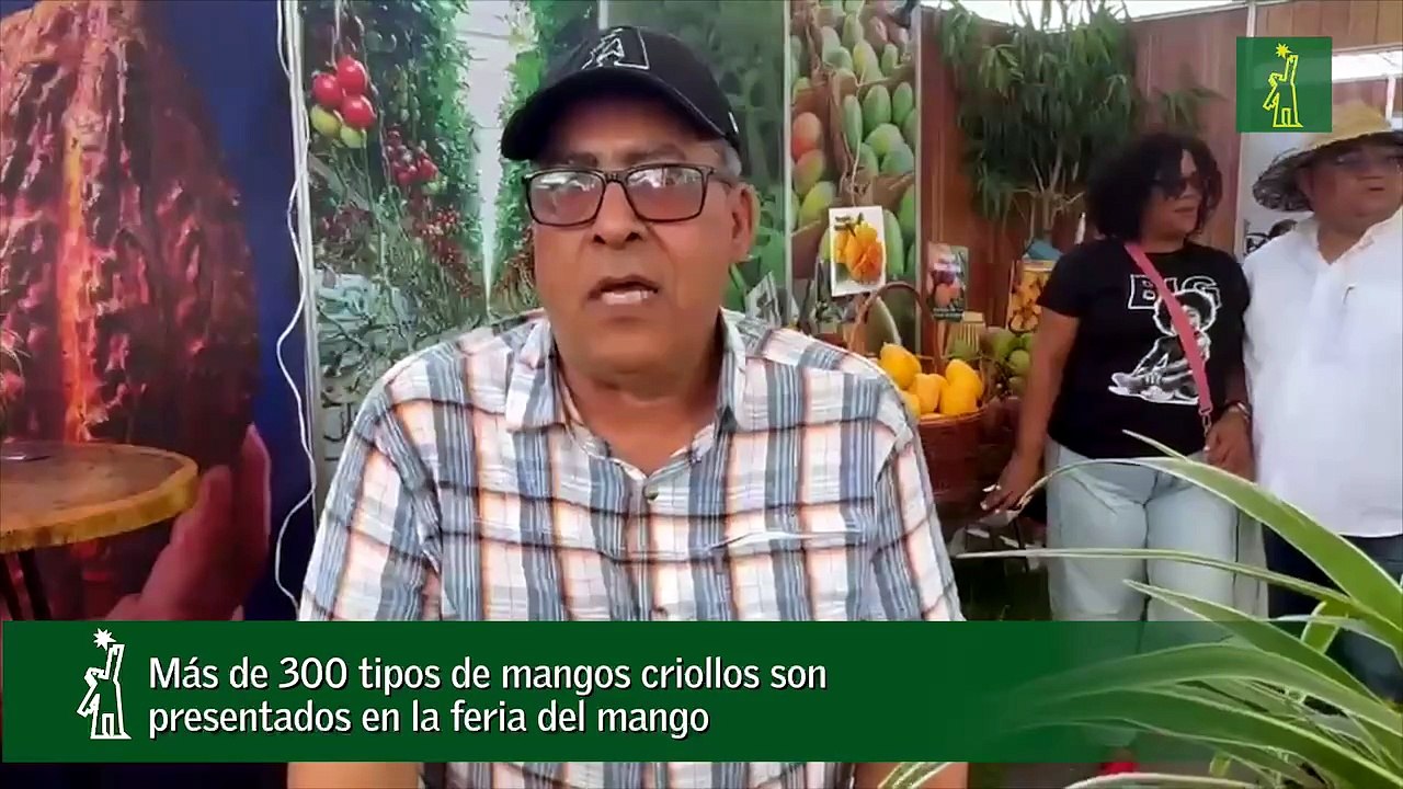 Más de 300 tipos de mangos criollos son presentados en la feria del mango