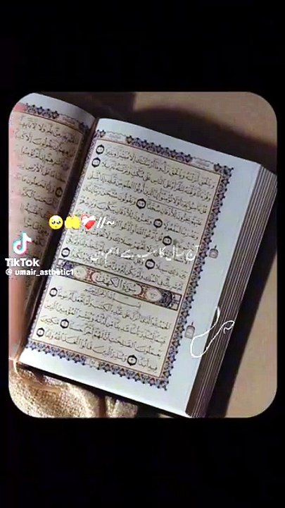 Trending shorts