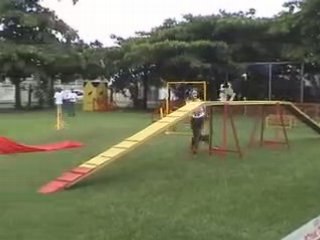Agility 2on 2off