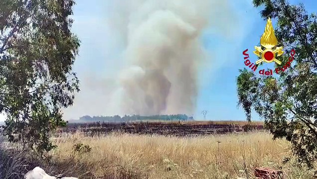 Incendi nel Cagliaritano: Vigili del Fuoco in azione