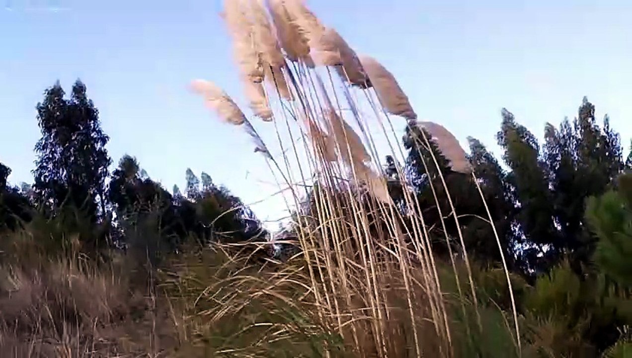 Рыбалка в Португалии 2026.  Басс, карп, карась. Fishing in Portugal 2026 Bass, carp, crucian carp.