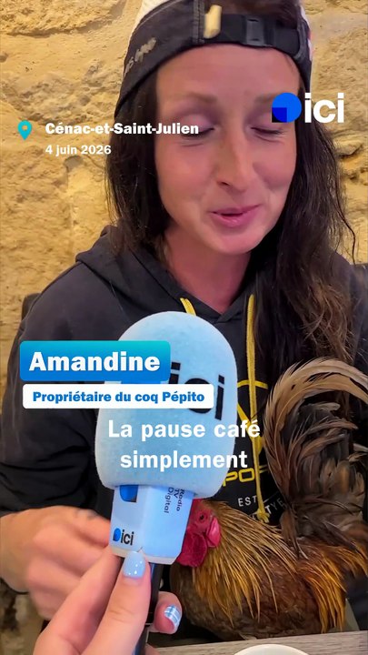 "C'est comme un chien" : elle emmène son coq Pépito partout avec elle en Dordogne