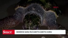 Mersin'de sahile ölü caretta caretta vurdu
