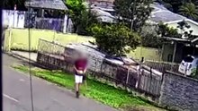 Vídeo mostra criança sendo atacada por nove cães no Paraná; dono vê e não ajuda