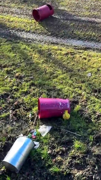 Viale Rustici, Adesso
