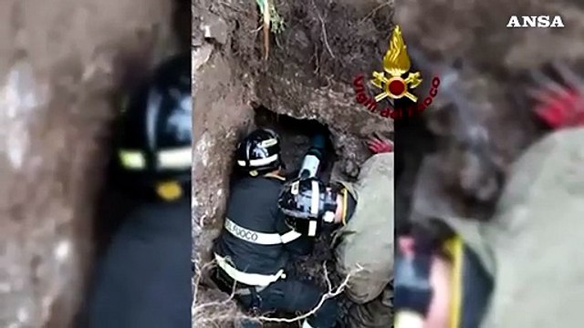 I Vigili del fuoco salvano un cagnolino intrappolato in un cunicolo