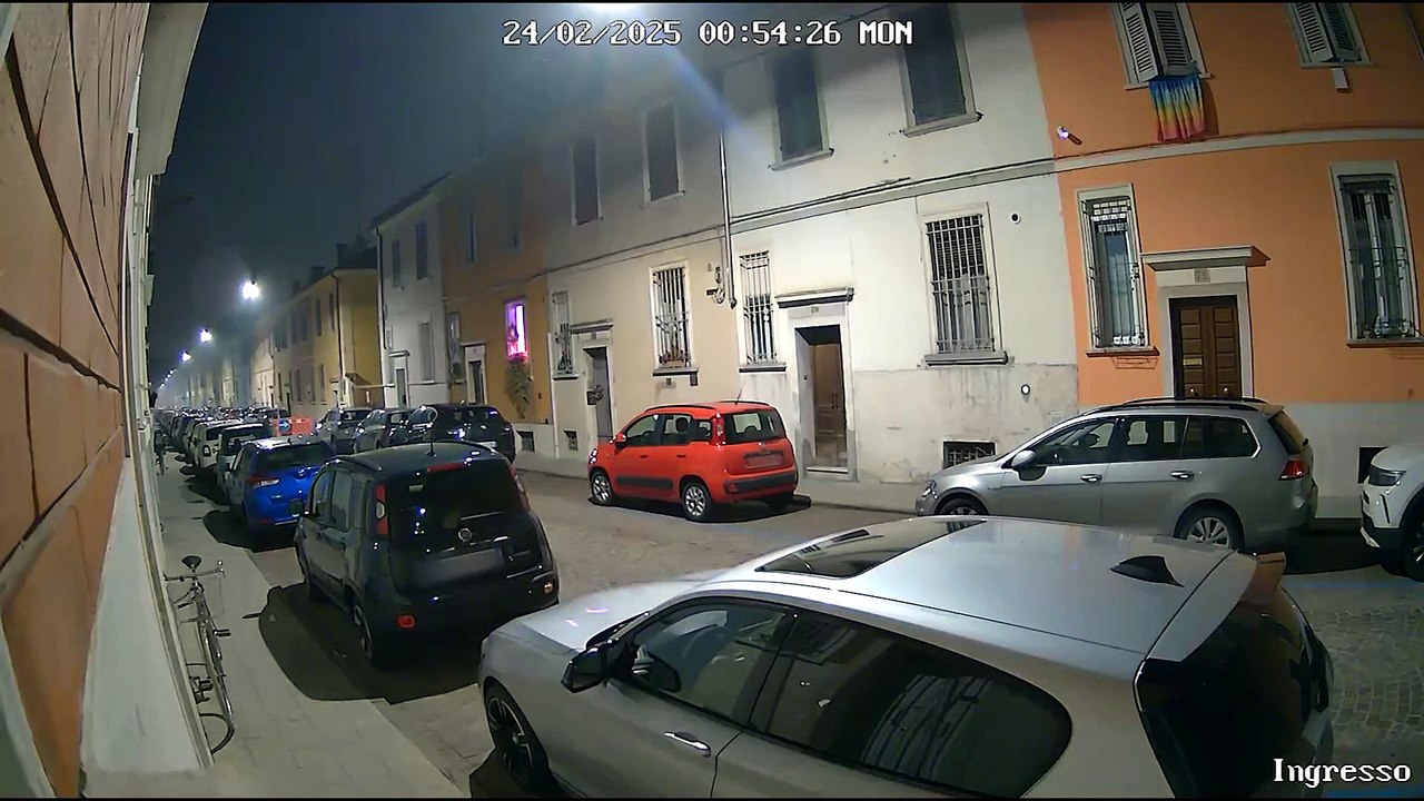 Video Betta