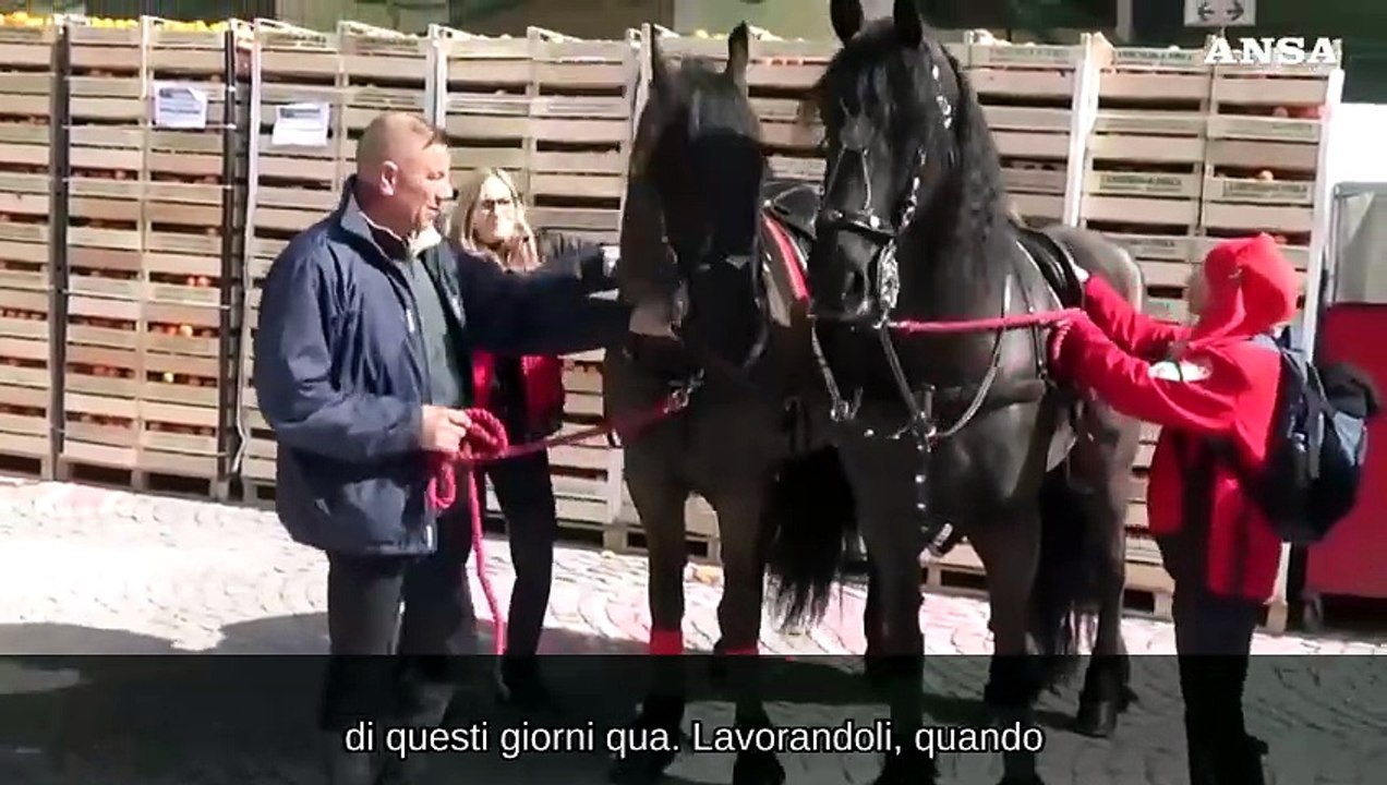 Carnevale di Ivrea, il cavallante: "Tradizione di famiglia tramandata"