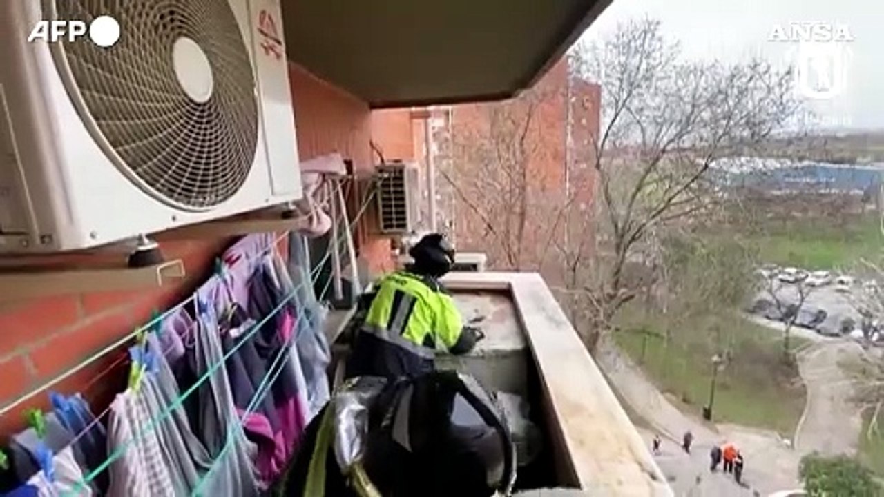 Madrid, vigili del fuoco salvano una capra bloccata al quinto piano di un palazzo
