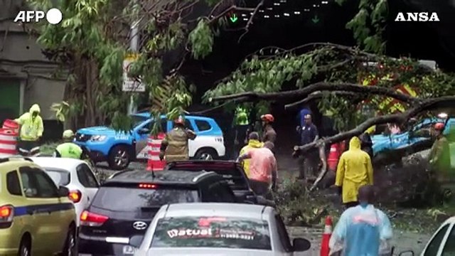 Maltempo in Brasile, allagamenti e alberi caduti a Rio de Janeiro