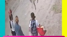 ¡Pug volador! Perrito cae del techo y derriba a una mujer en plena calle