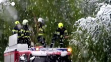 Forti nevicate sulle regioni alpine in Italia, Svizzera e Francia