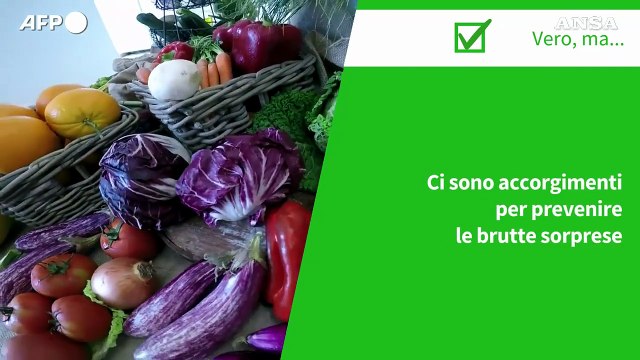 Ansa VERIFIED - Possono i cibi di origine vegetale provocare focolai di malattie a trasmissione alimentare?