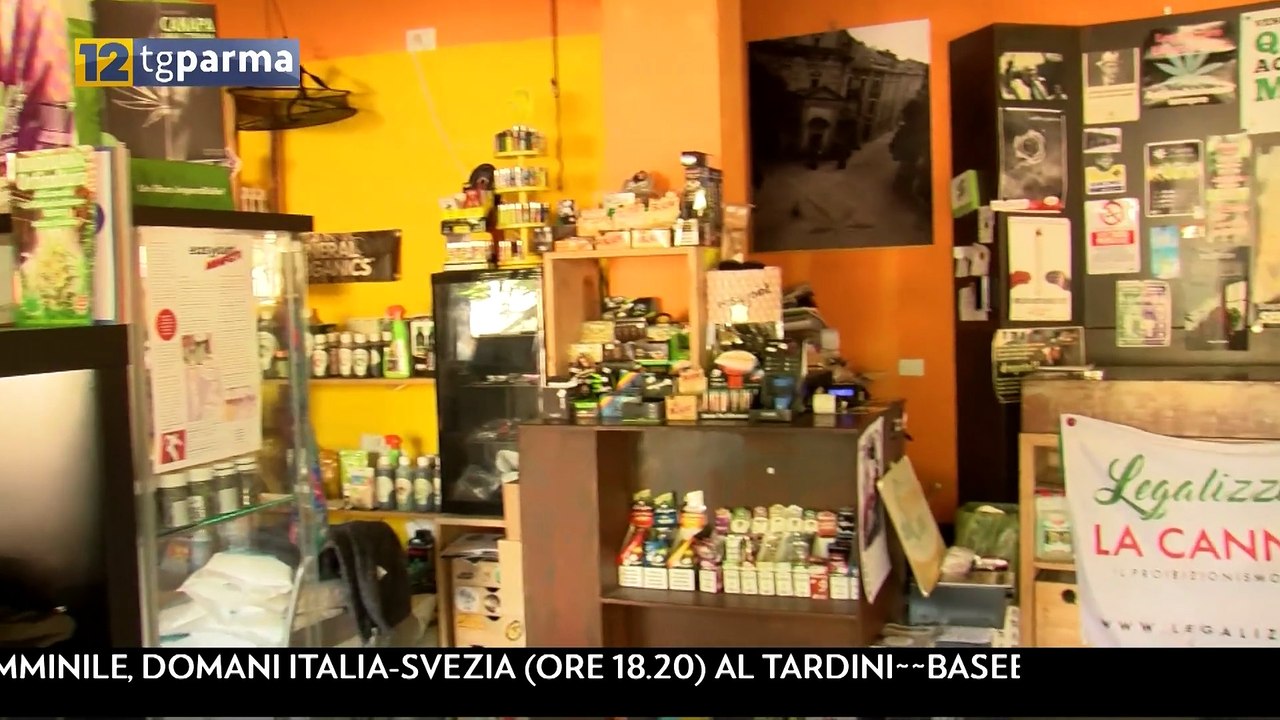 Processo Easyjoint, Assolto Luca Marola