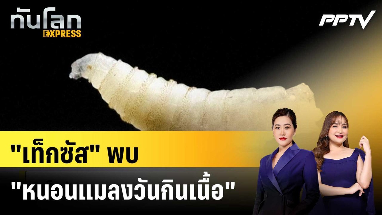 "เท็กซัส" พบ "หนอนแมลงวันกินเนื้อ" ครั้งแรกในรอบ 59 ปี|ทันโลก EXPRESS |5 มิ.ย. 69