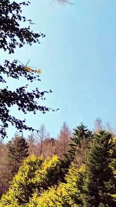 Elicottero Shok