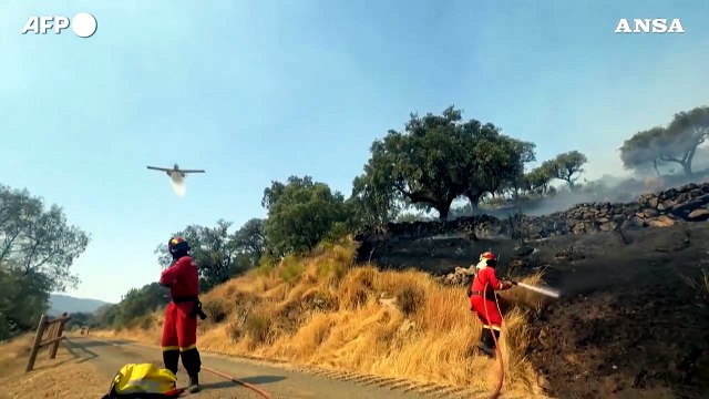 Incendio in Estremadura, quest'anno bruciati quasi 100mila ettari in Spagna