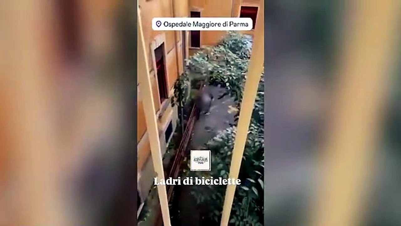 Videooooo