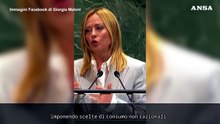 Meloni contro i "green deal" occidentali: "Ecologismo insostenibile"