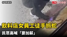 猛！彰化飲料店女員工徒手抓蛇 民眾高喊「要加薪」