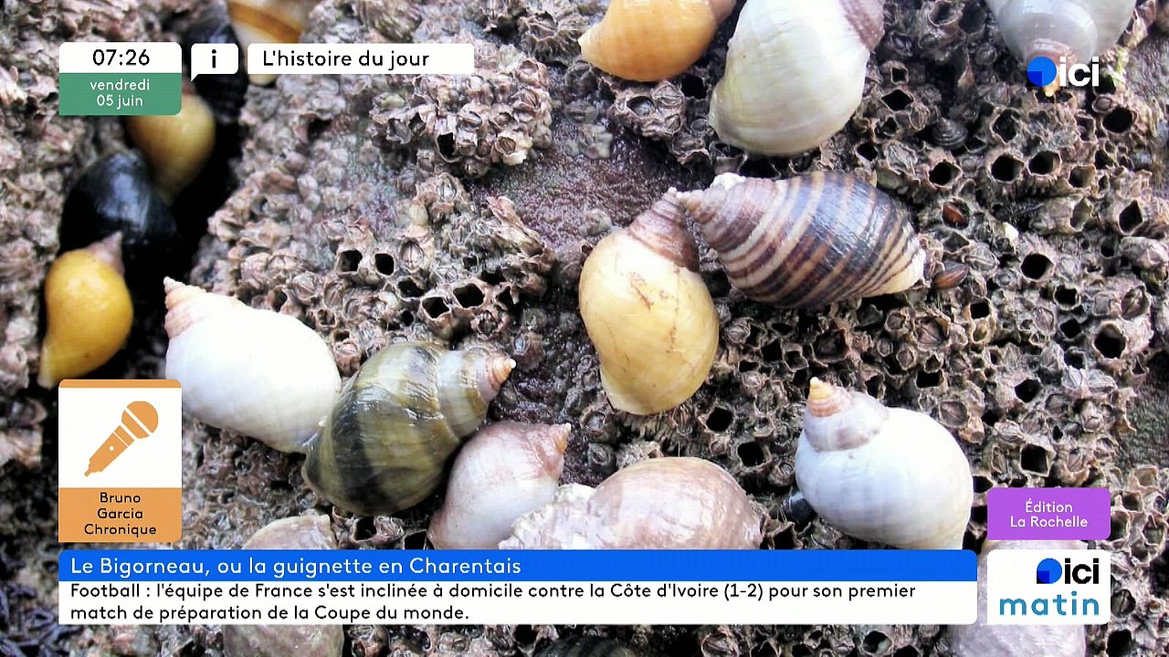 05/06/2026 - ici matin par ici La Rochelle en vidéo