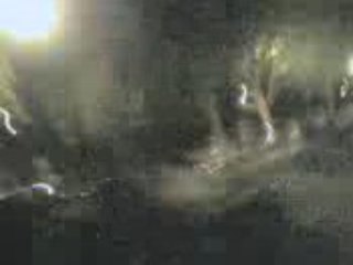 course chiens vs scooter