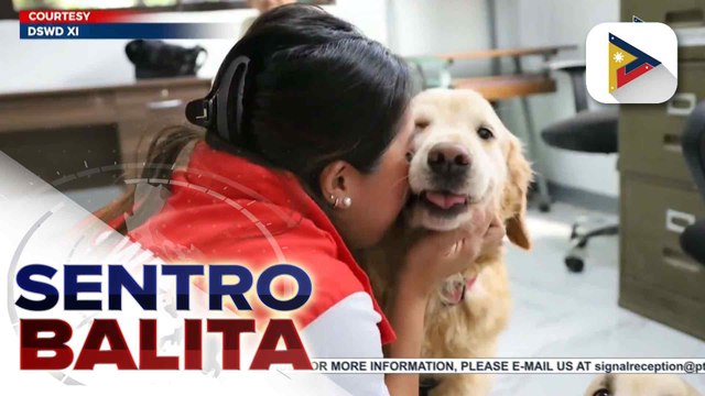 10 aso, sinasanay para maging ‘doctor dogs’ sa Davao region sa ilalim ng programa ng DSWD XI at isang NGO | ulat ni Regine Lanuza - PTV Davao10 aso, sinasanay para maging ‘doctor dogs’ sa Davao region sa ilalim ng programa ng DSWD XI at isang NGO | ulat
