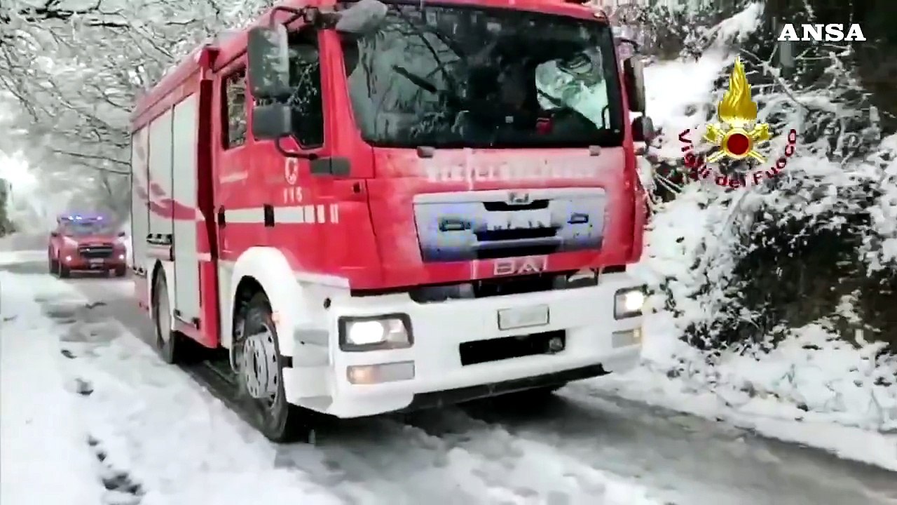 Maltempo nelle Marche, "strage" di alberi sotto il peso della neve
