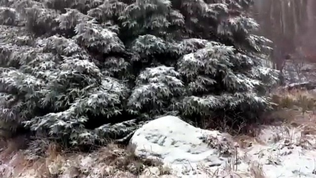 Neve al Lago Santo e alla Sella del Marmagna, una spolverata che accende la magia del bianco Natale - Video