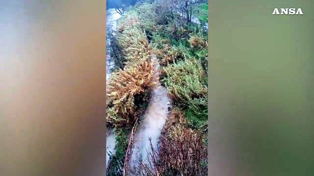 Il maltempo non da' tregua, a Roma esonda il fiume Aniene nel quartiere Tiburtino