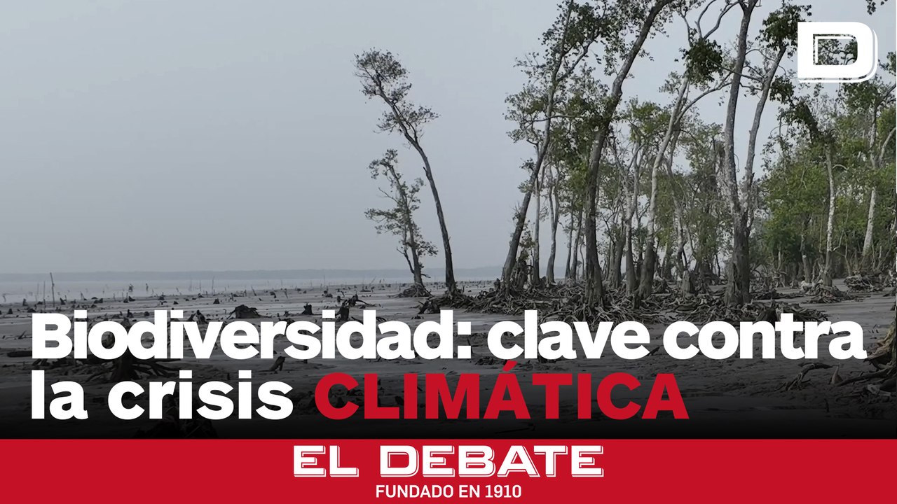 Bioparc alerta de que proteger la biodiversidad es una de las respuestas más eficaces frente a la crisis climática