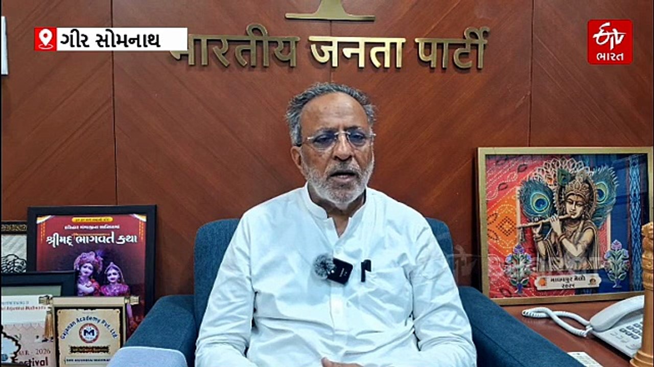 રાહતના સમાચાર: રોગચાળા સામે લડાઈમાં વન વિભાગને સફળતા, 12 સિંહ સંપૂર્ણ સ્વસ્થ થઈ જંગલમાં પરત ફર્યા