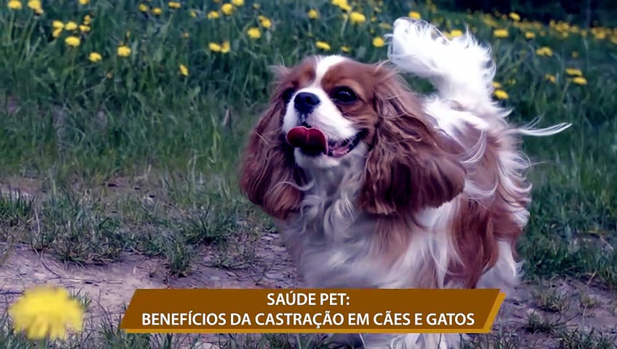 DRA. CAMILA POLI - 06 DE JUNHO DE 2026