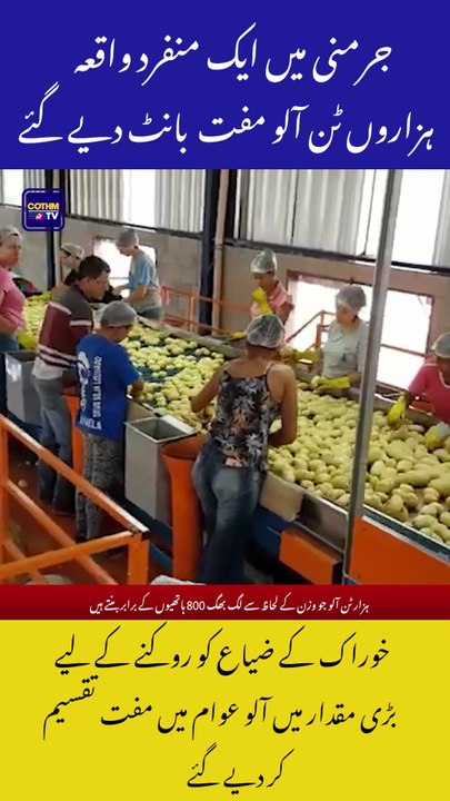 Why Were Thousands of Tons of Potatoes Distributed for Free in Germany?