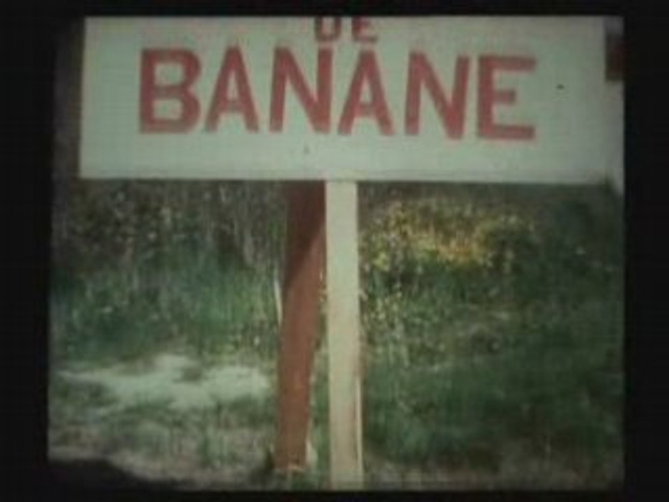 Banane - Les Renés