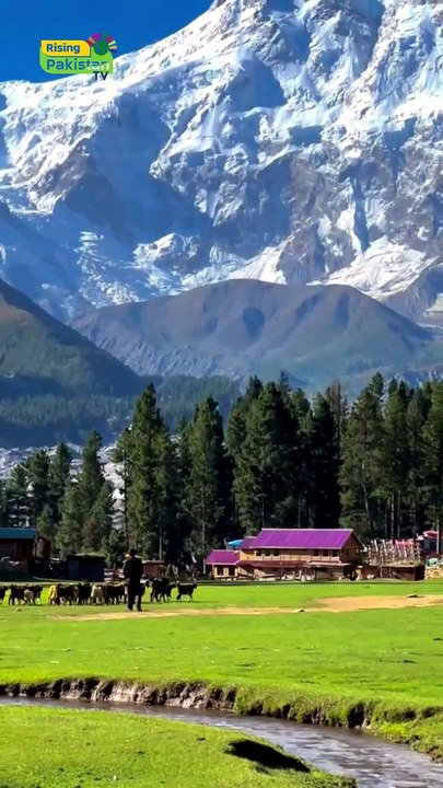 Fairy Meadows A Hidden Paradise Nestled in the Heart of the Mountains!