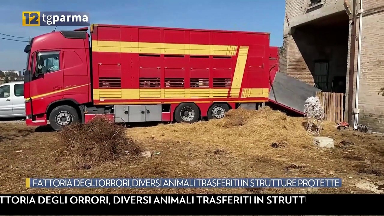 Fattoria