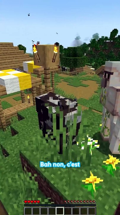Il est aveugle ou quoi j'ai jamais vu ça 😭😭