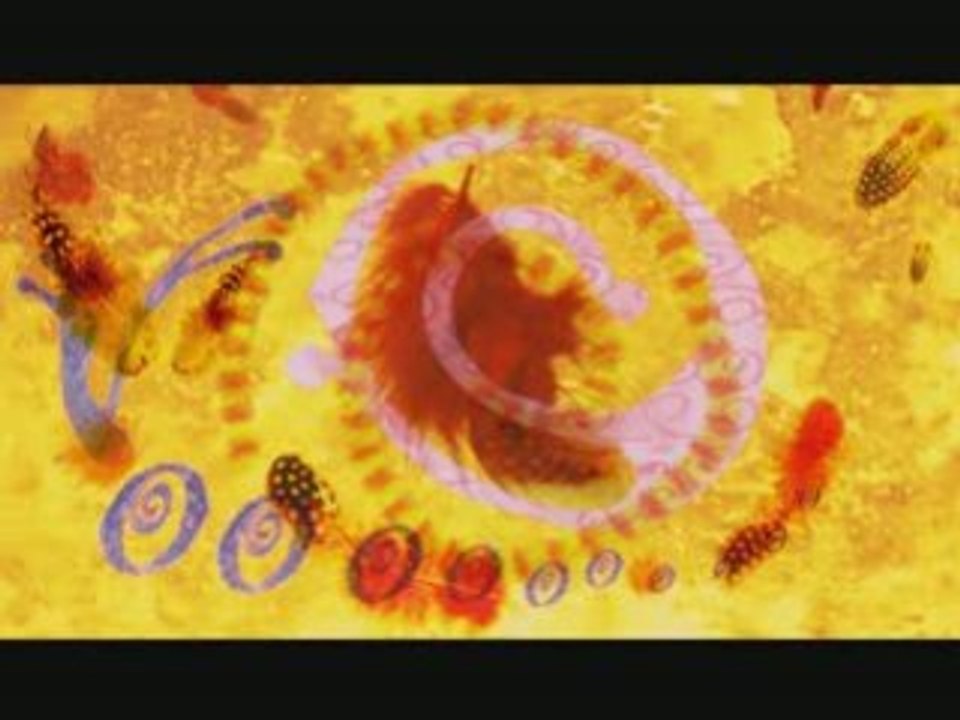 Meuh v.2-dvd