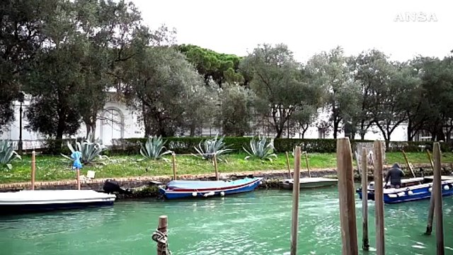 Incendio alla Biennale, i danni causati al padiglione della Serbia
