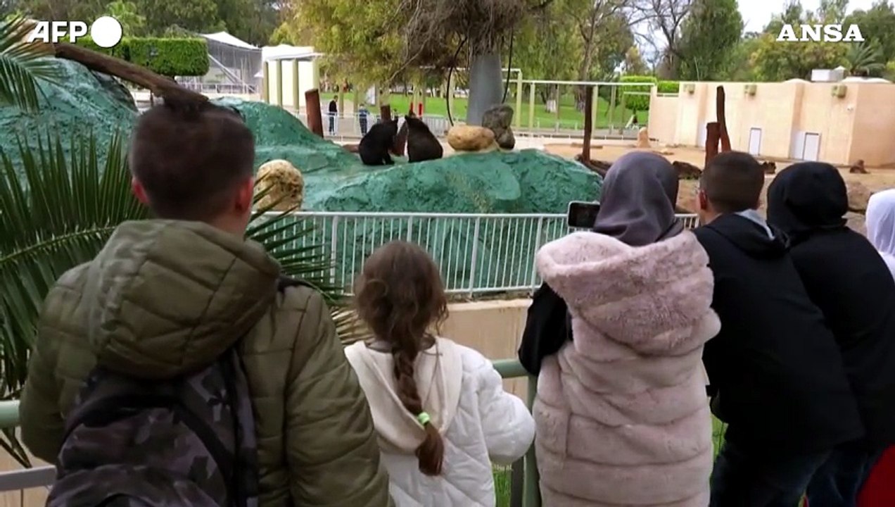 Libia, dopo 17 anni riapre lo zoo di Tripoli