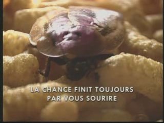 Loto fausse pub