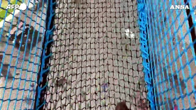 Torre Eiffel, una passerella sospesa a 60 metri per i piu' coraggiosi