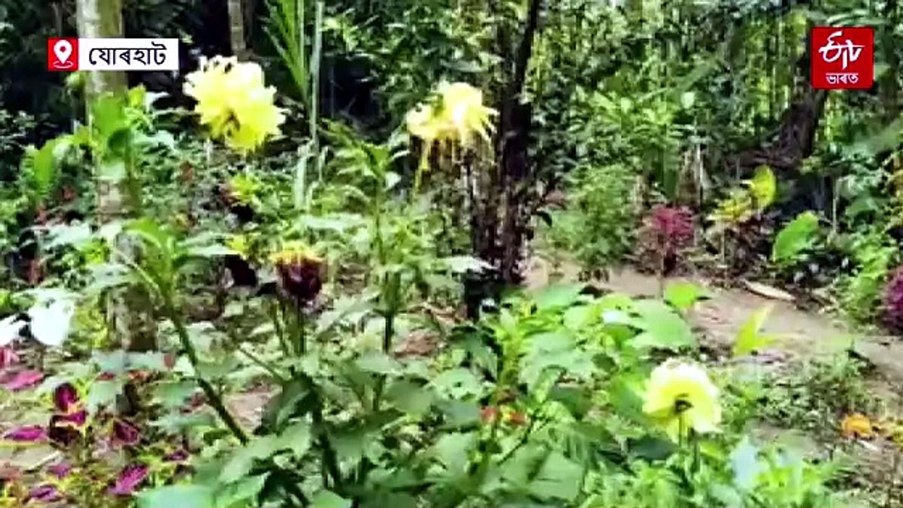 প্ৰকৃতি সেউজীয়া কৰাৰ লক্ষ্যৰে ৩৭ বছৰে বিৰামহীনভাবে কাম কৰা এগৰাকী প্ৰকৃতিপ্ৰেমী