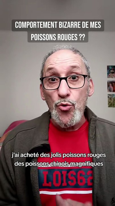 Mes poissons rouges ont un comportement bizarre🤨🤔