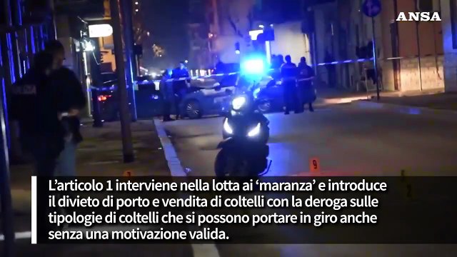 Dl sicurezza, le principali misure tra norme ed emendamenti