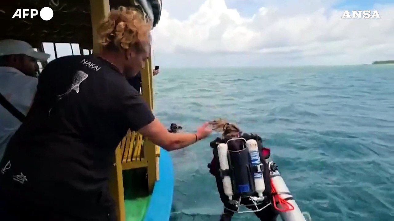 Maldive, recuperati due dei quattro corpi dei sub italiani