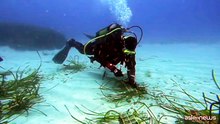 E.ON Italia rafforza il progetto Energy4Blue